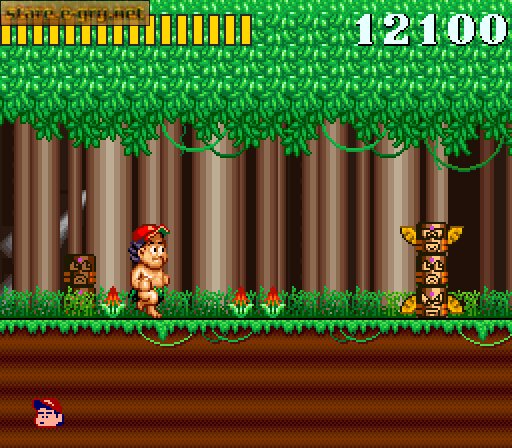 Super Adventure Island