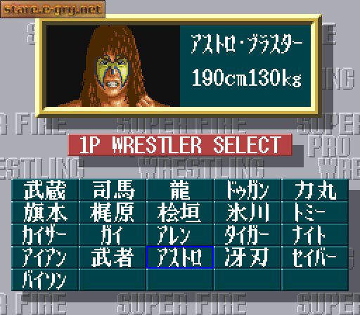 Super Fire Pro Wrestling