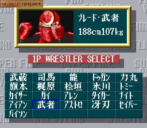 Super Fire Pro Wrestling