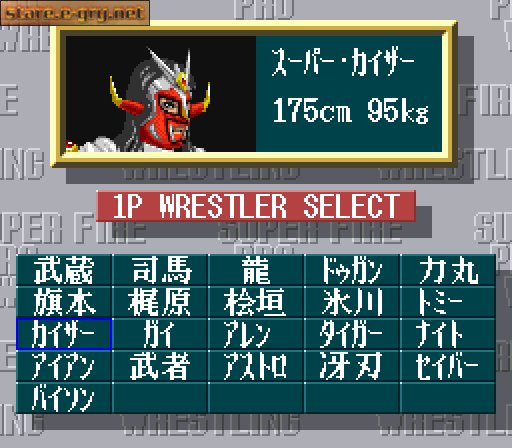Super Fire Pro Wrestling