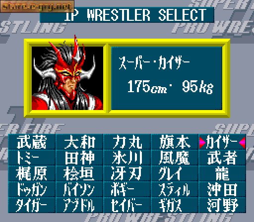 Super Fire Pro Wrestling 2