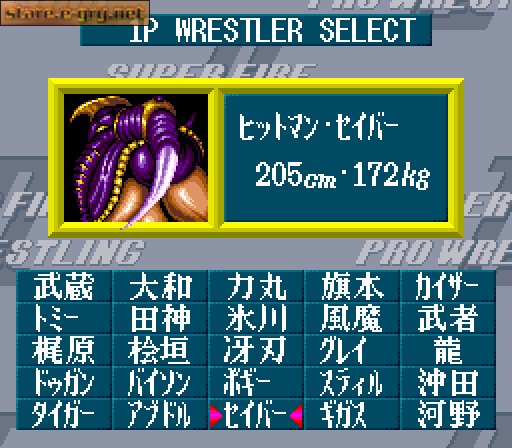 Super Fire Pro Wrestling 2