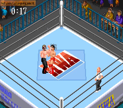 Super Fire Pro Wrestling 2
