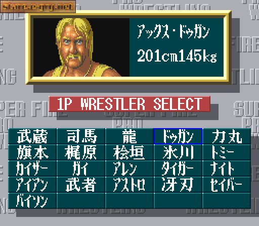 Super Fire Pro Wrestling