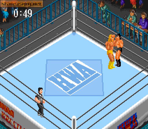 Super Fire Pro Wrestling