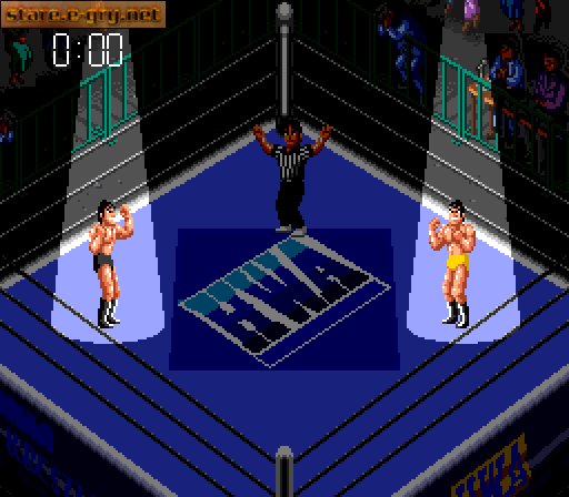 Super Fire Pro Wrestling III: Final Bout