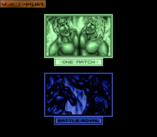 Super Fire Pro Wrestling Special