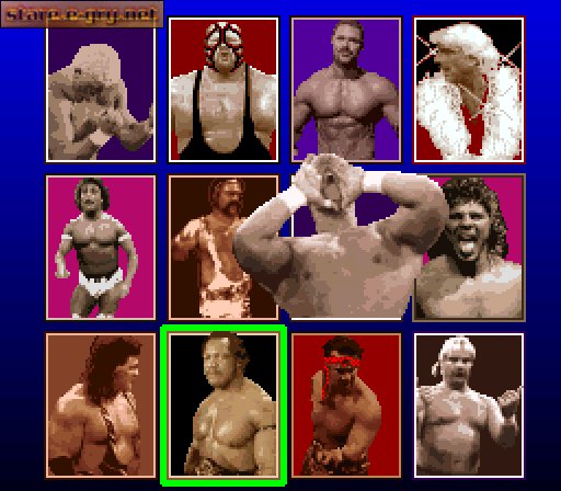 WCW Super Brawl Wrestling