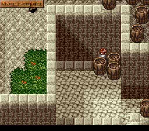 Ys V Expert