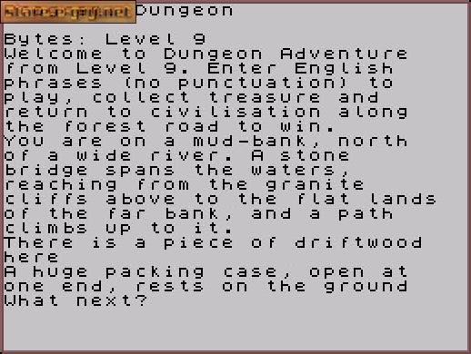 Dungeon Adventure