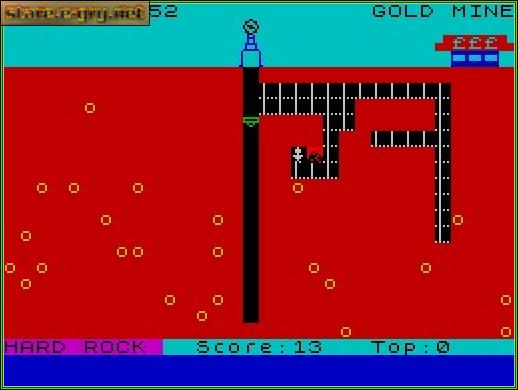 Gold Mine
