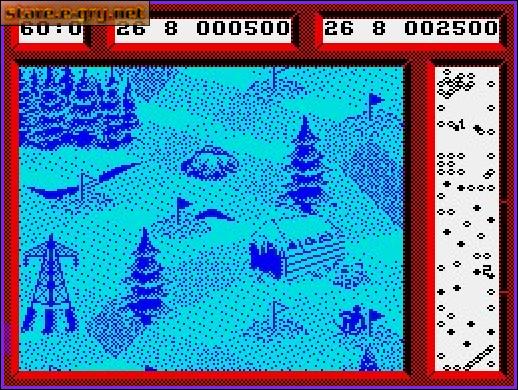 Professional Ski Simulator