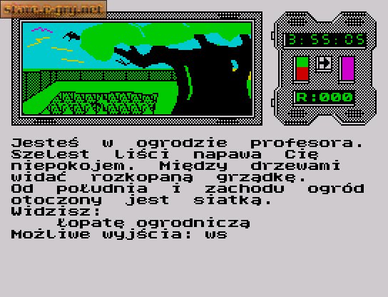 Mózg Procesor