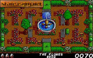 Dizzy: Fast Food