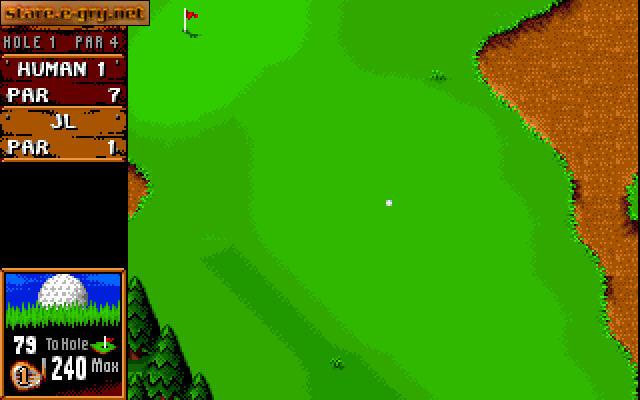 Sensible Golf