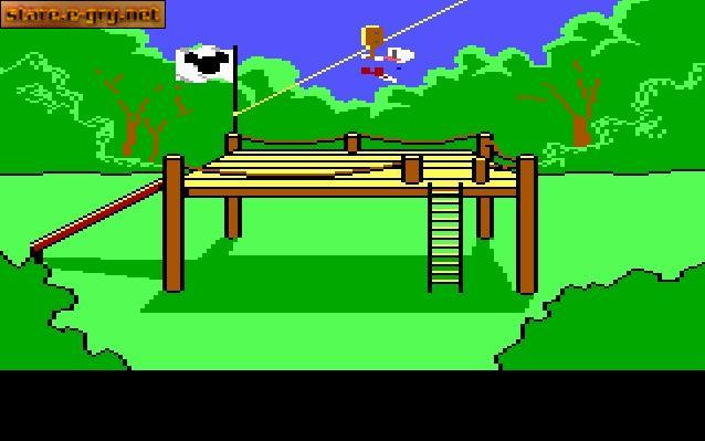 Donald Duck's Playground