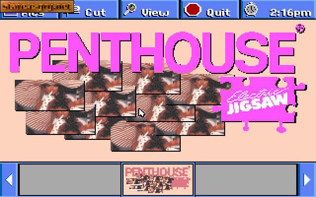 Penthouse Electric Jigsaw
