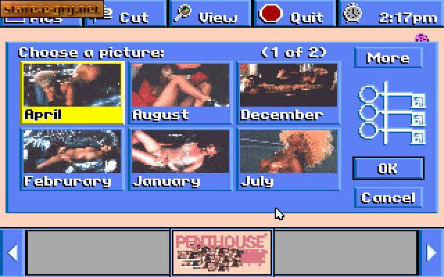 Penthouse Electric Jigsaw