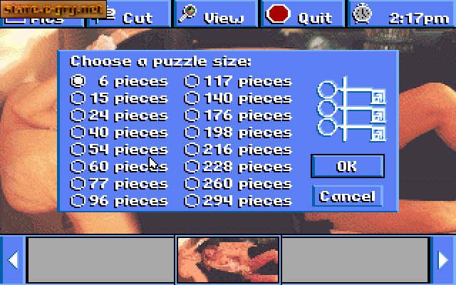 Penthouse Electric Jigsaw