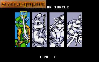 Teenage Mutant Ninja Turtles II: The Arcade Game