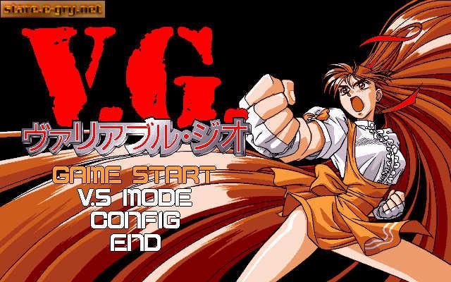 V.G. Fighter (Variable Geo Fighter)