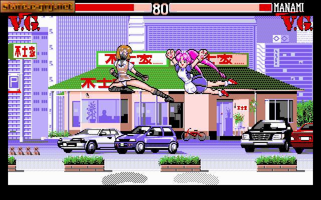 V.G. Fighter (Variable Geo Fighter)