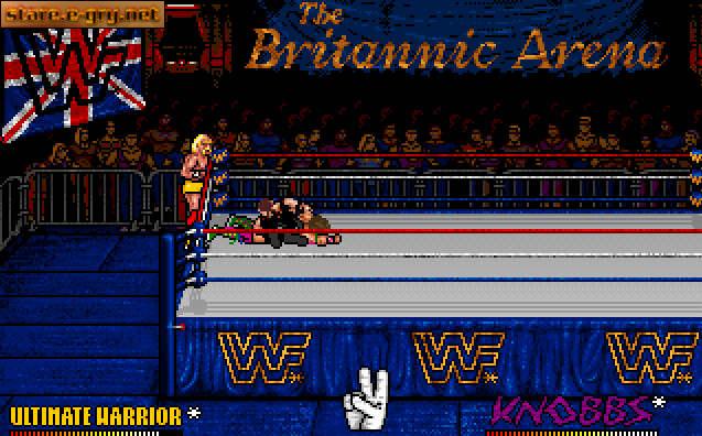 Wwf European Rampage Tour