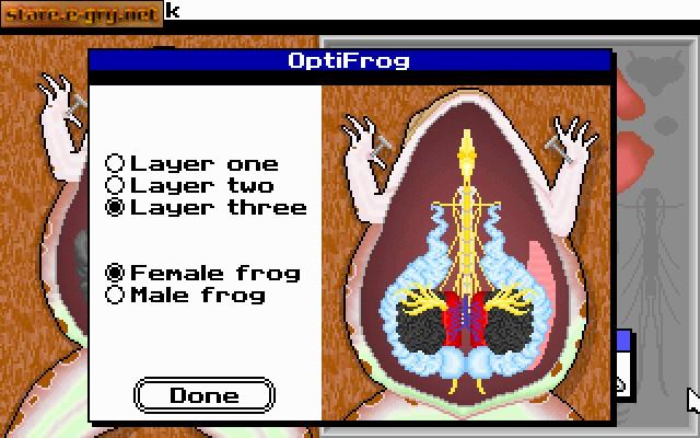 Operation Frog