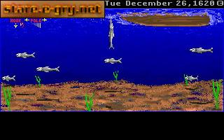 Pilgrims Quest