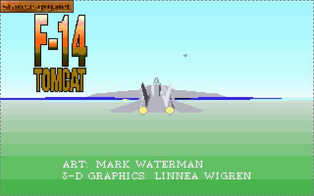 F-14 Tomcat