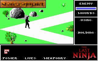 The Last Ninja