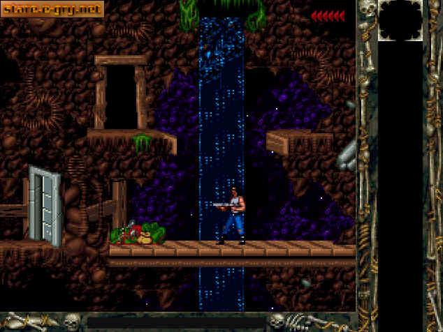 Blackthorne