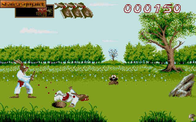 Ninja Rabbits