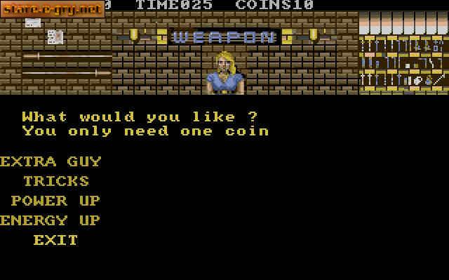 Double Dragon 3: The Rosetta Stone