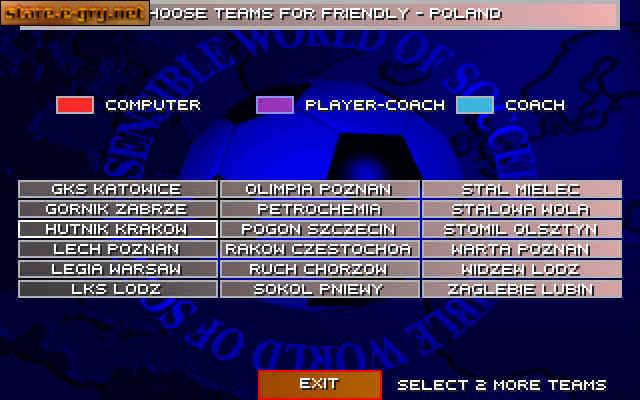 Sensible World Of Soccer