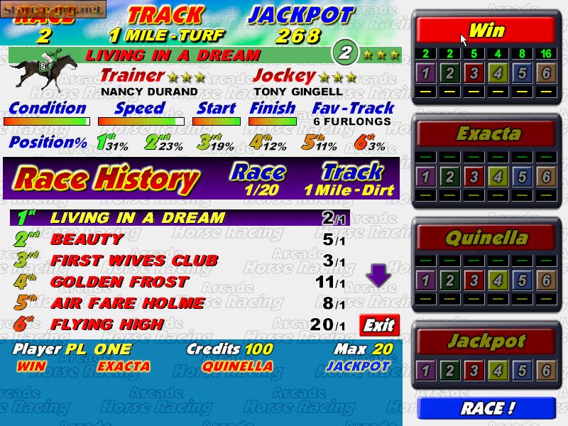 Arcade Horse Racing