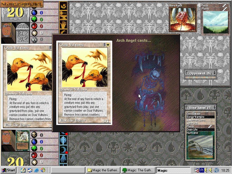 Magic: The Gathering
