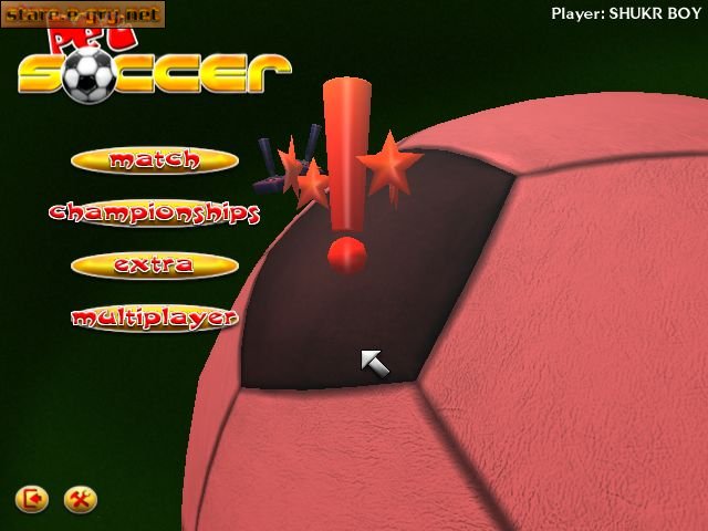 Pet Soccer