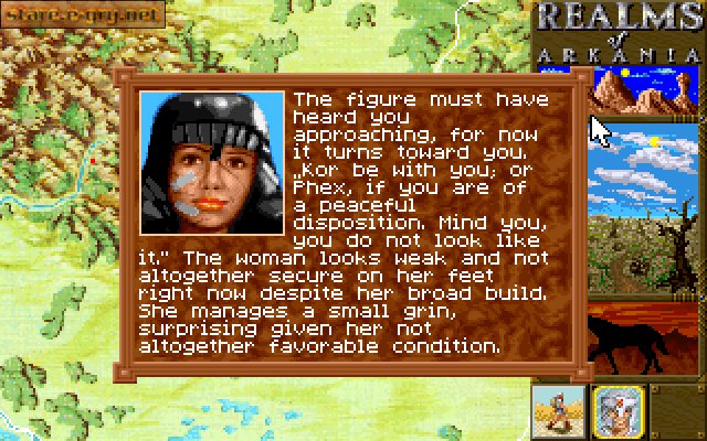 Realms Of Arkania: Star Trail