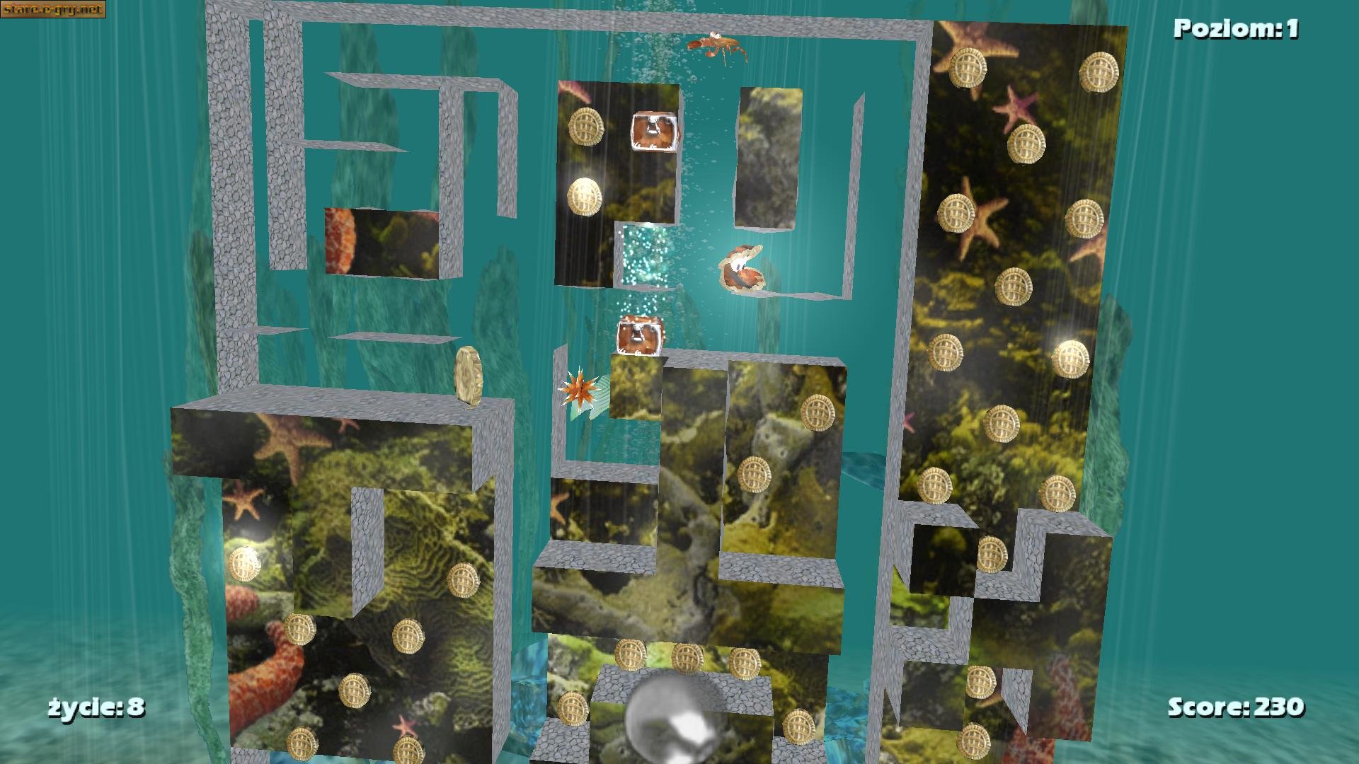 Aqua Digger 3D (PL)