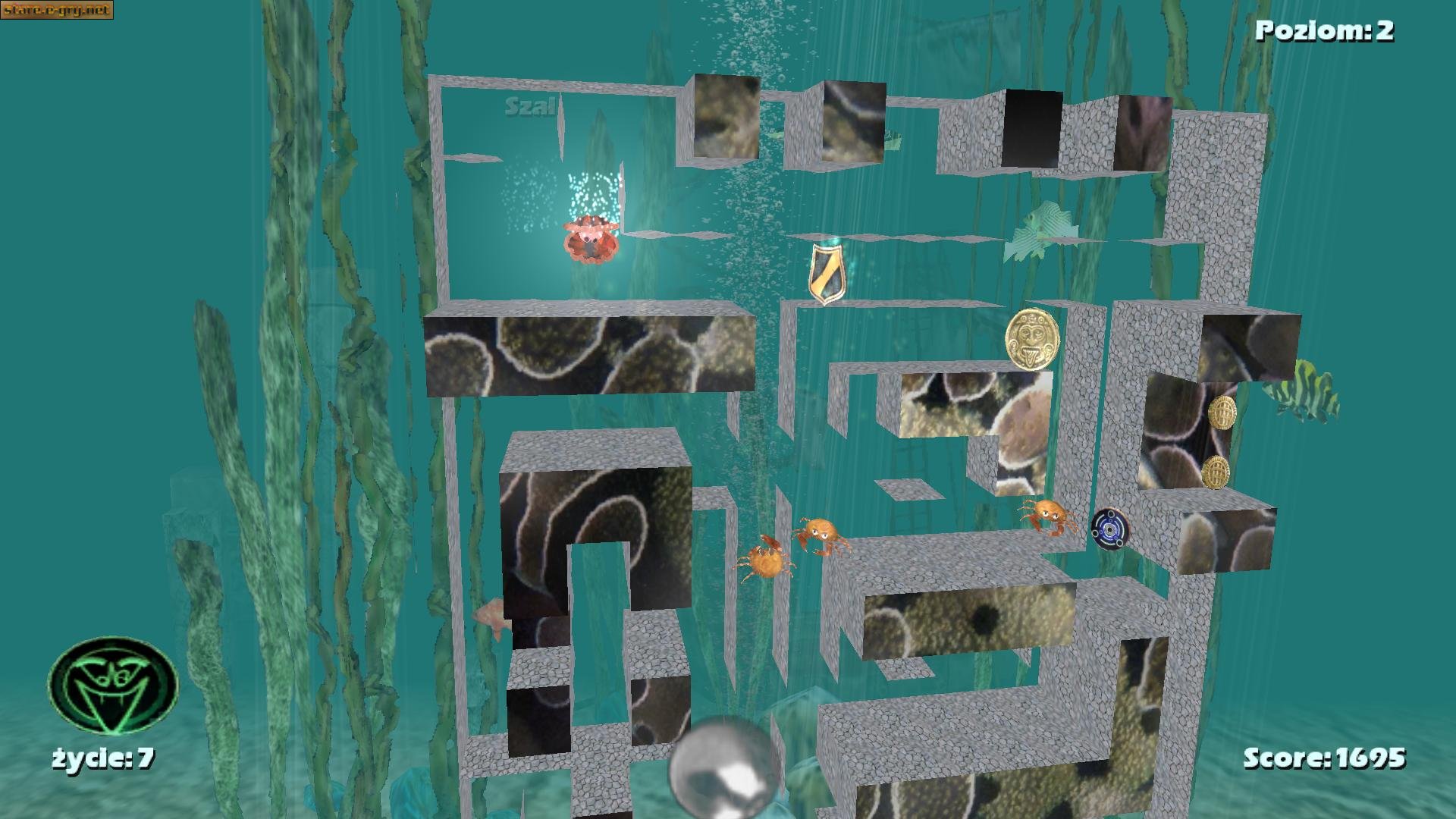 Aqua Digger 3D (PL)