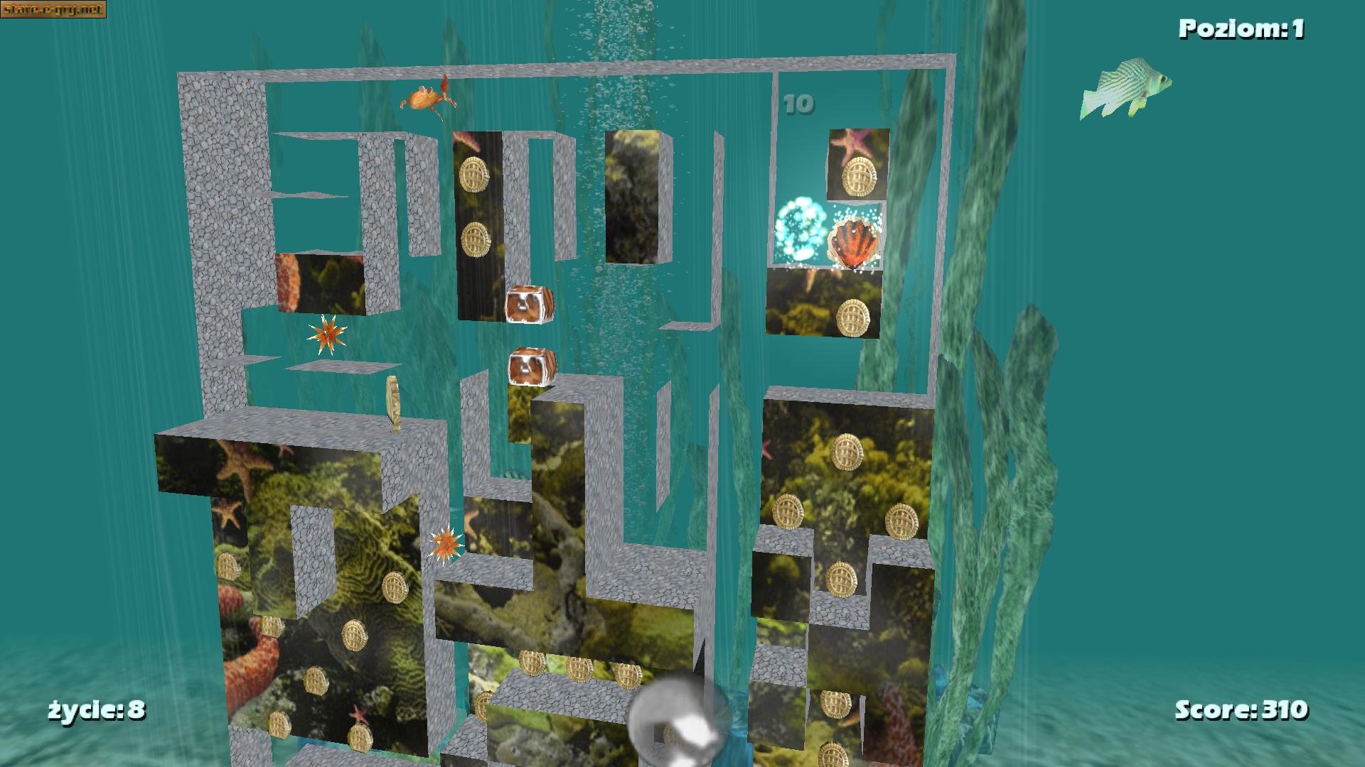 Aqua Digger 3D (PL)