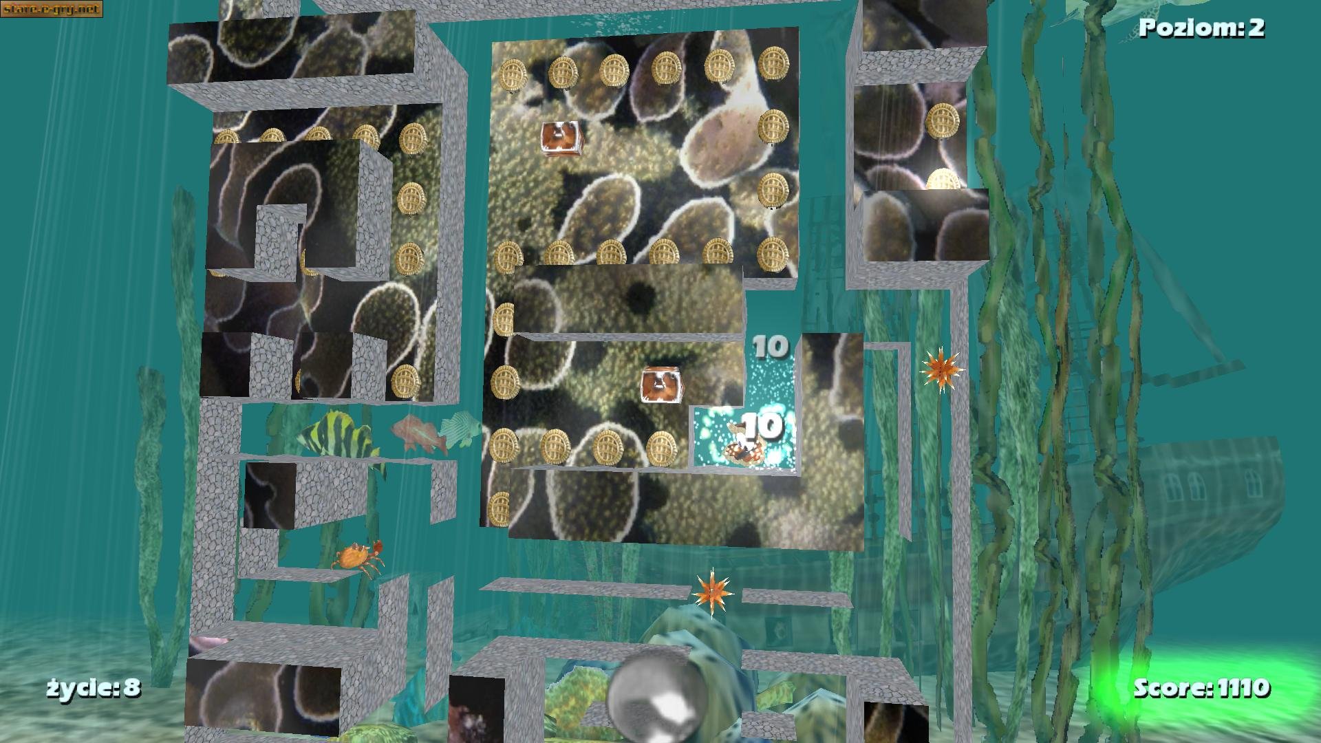 Aqua Digger 3D (PL)