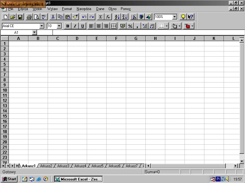 MS Office 95 Professional (PL)
