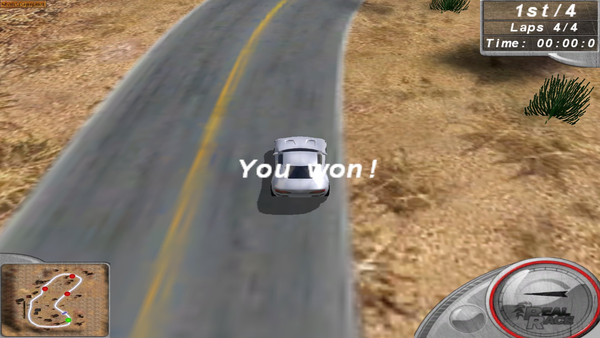 Real Race