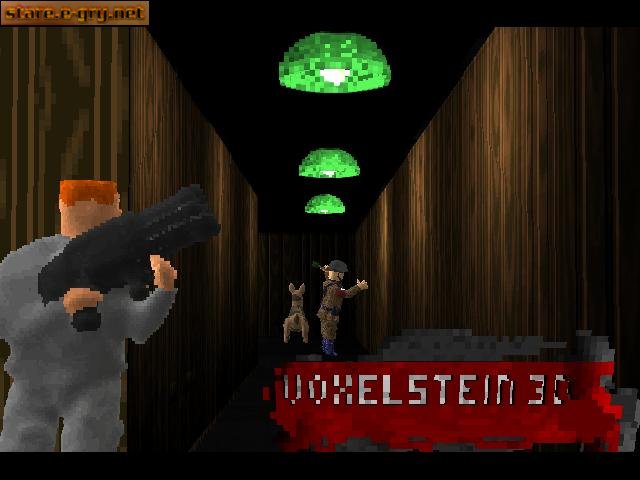 Voxelstein 3D