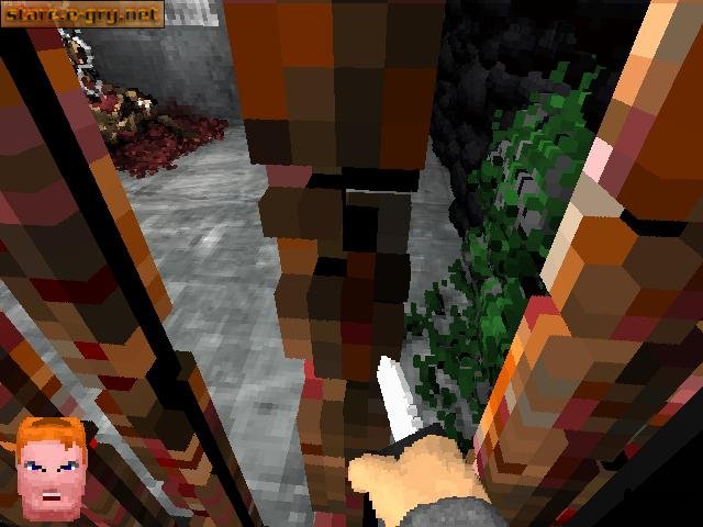 Voxelstein 3D