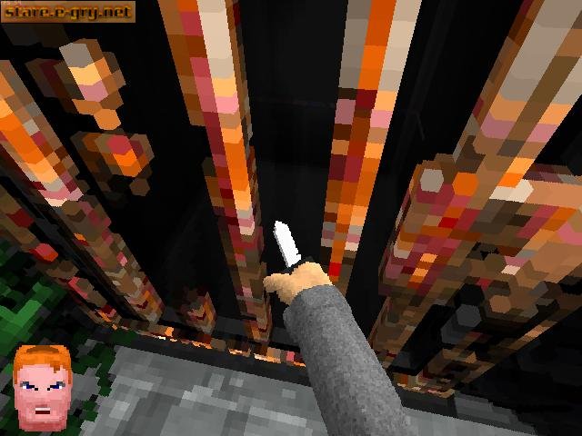 Voxelstein 3D