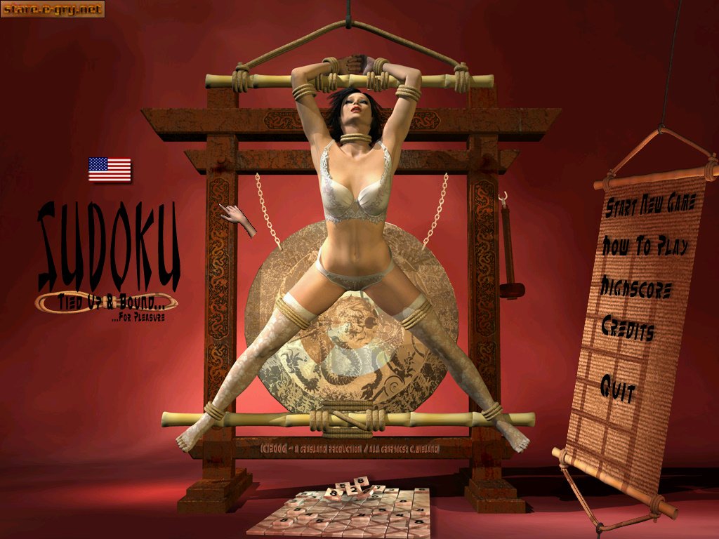 Sudoku Bondage: Tied Up & Bound