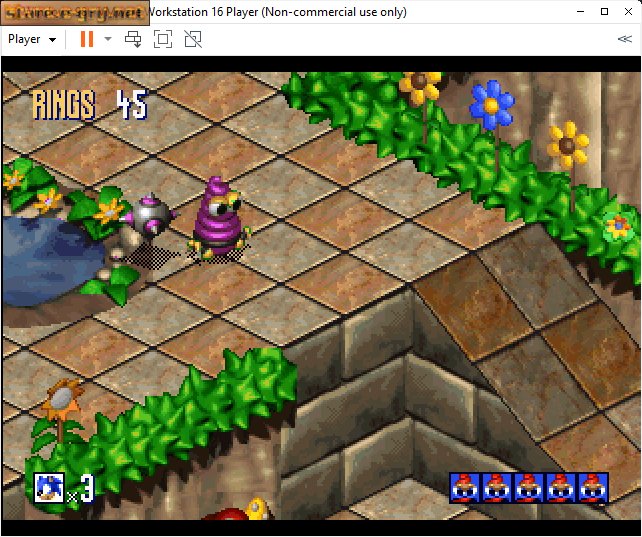 Sonic 3D: Flickies' Island